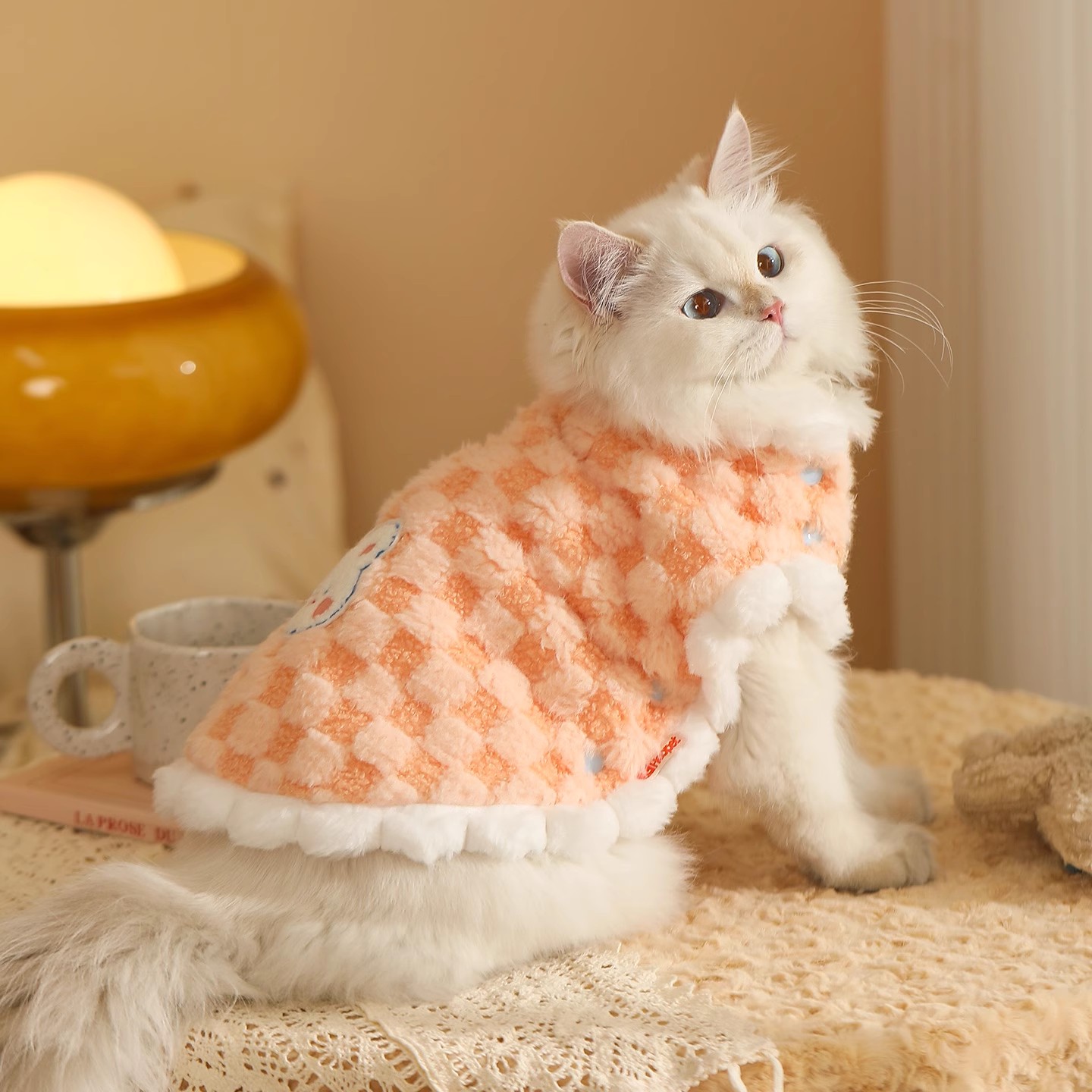 猫咪秋冬季外出马甲小猫小狗布偶德文冬季保暖加绒防掉毛宠物外套