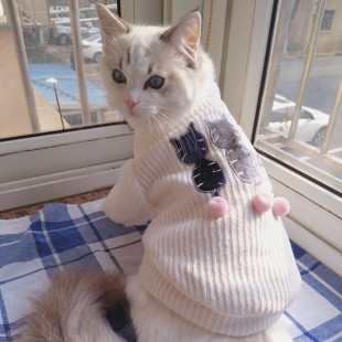 猫の服、暖かい冬の犬のセーター、子猫の服、冬用のかわいい子猫の服、ペットの犬用の抜け毛防止冬服