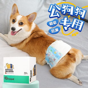 狗狗尿不湿公狗专用拉拉裤小狗礼貌带柯基防乱尿安全裤宠物纸尿裤