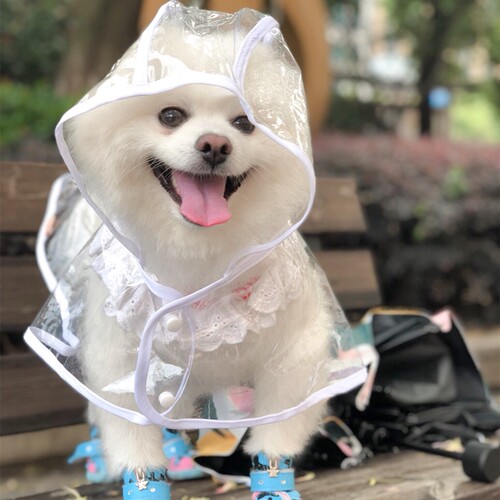 柯基比熊法斗宠物专用全包雨衣