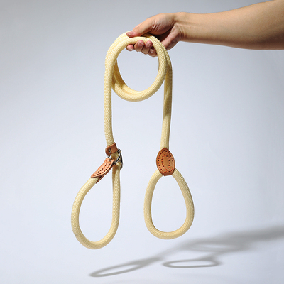 小型p链项圈宠物用品狗狗牵引绳