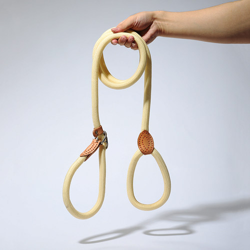 小型p链项圈宠物用品狗狗牵引绳