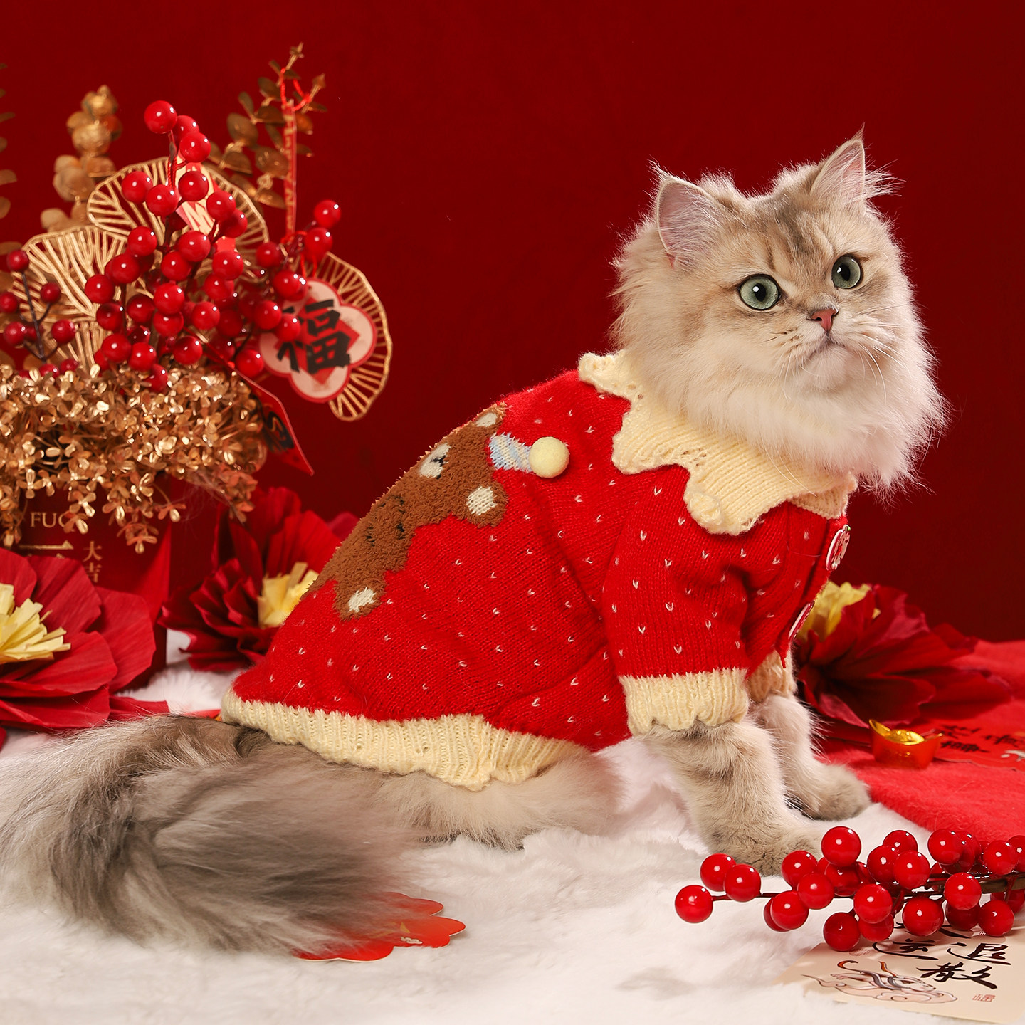 猫咪衣服冬季保暖防掉毛布偶德文猫猫过冬小狗狗冬天宠物新年毛衣