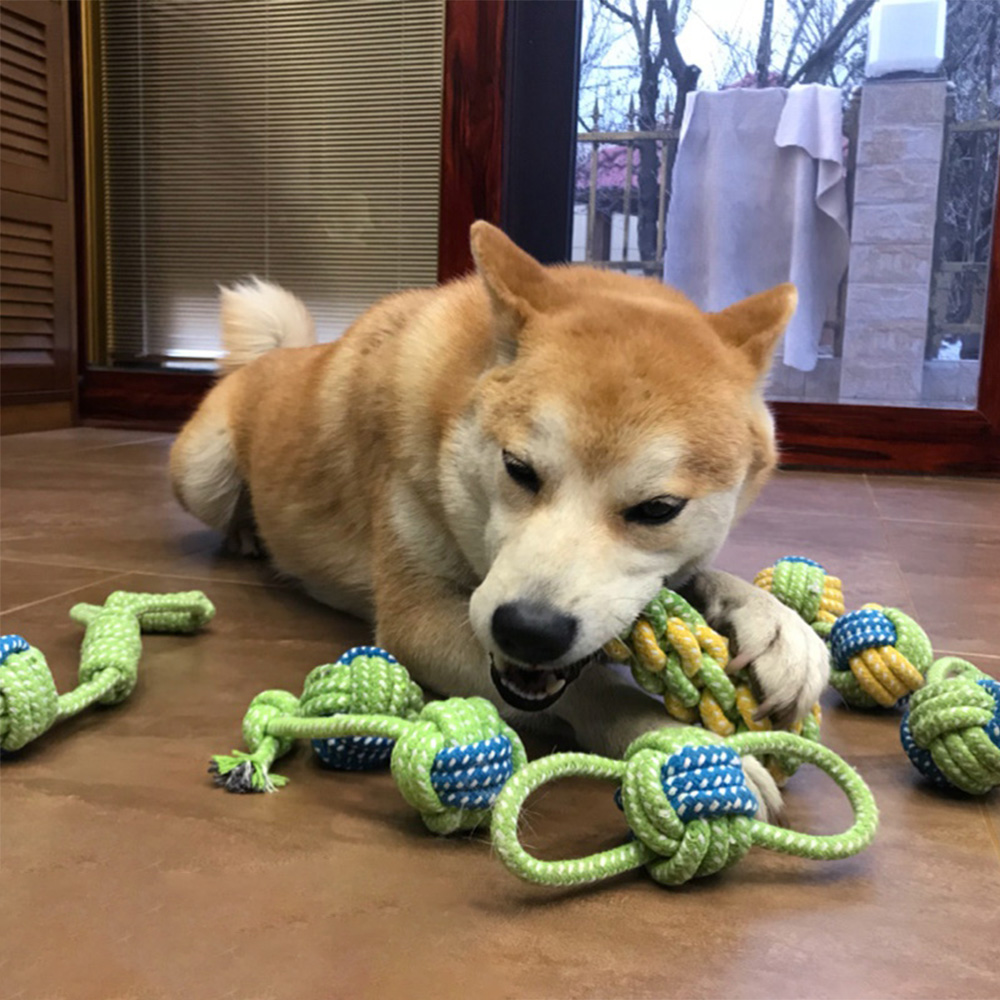 狗狗玩具耐咬幼犬小狗的洁齿绳结咬绳泰迪柯基犬磨牙球球宠物用品