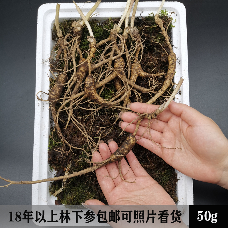 青沟门初级农产品集安包邮老参