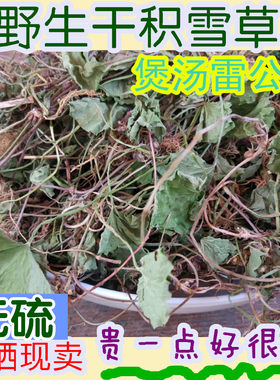 天堂漓江干货积雪草雷公根中药材