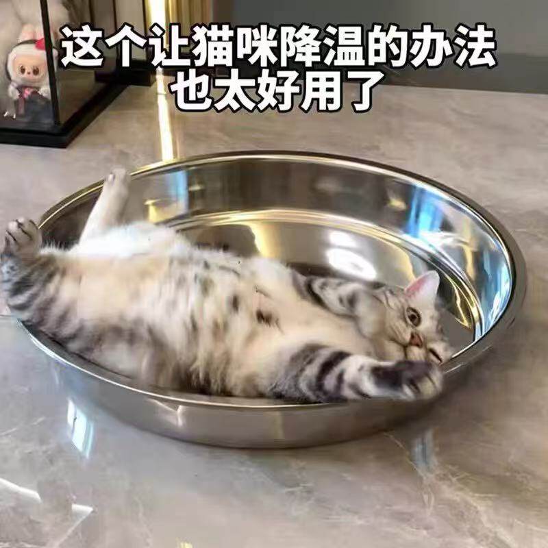 不锈钢猫窝夏季宠物凉席降温神器升级物理降温冰垫冰窝散热睡觉