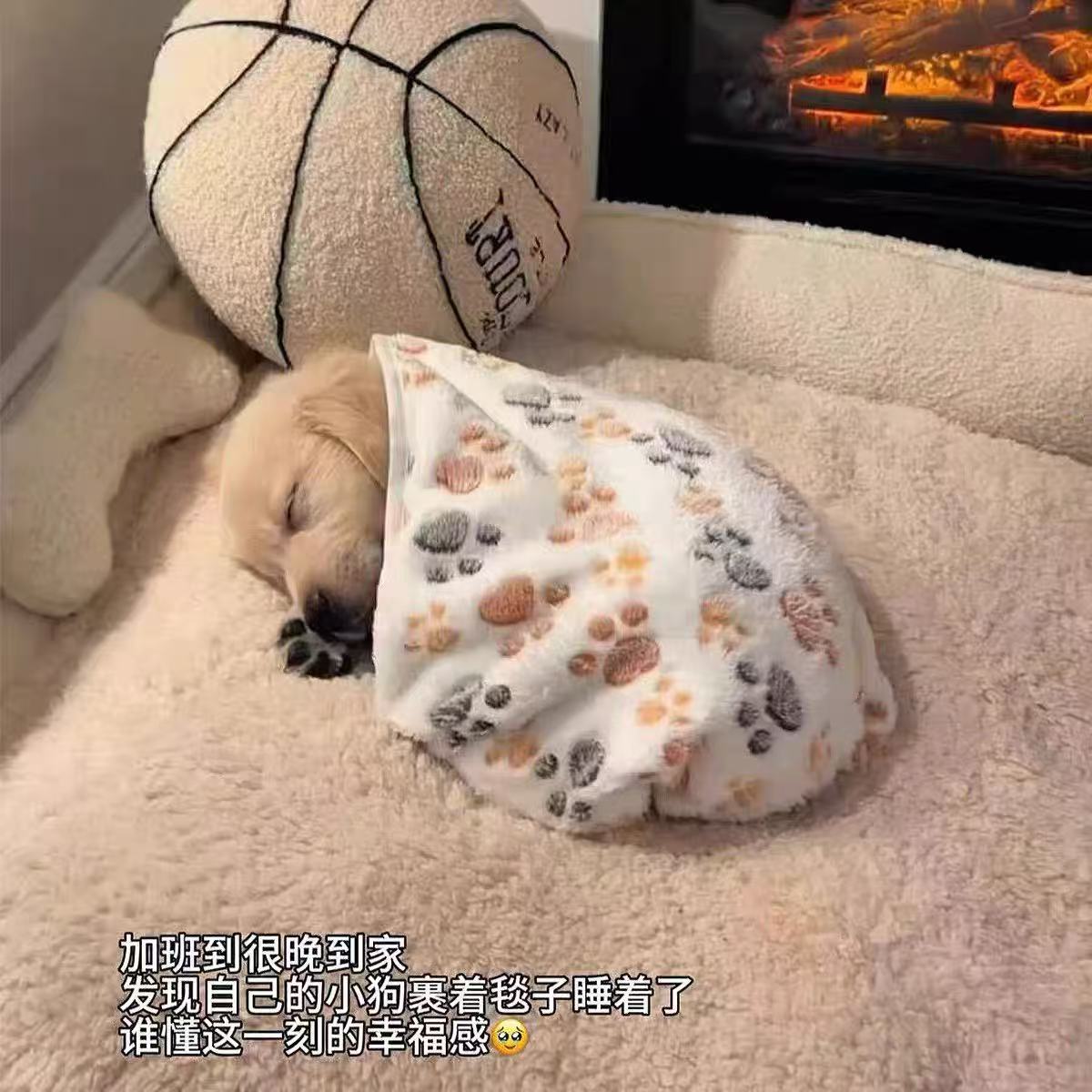 宠物加厚保暖法兰绒睡毯