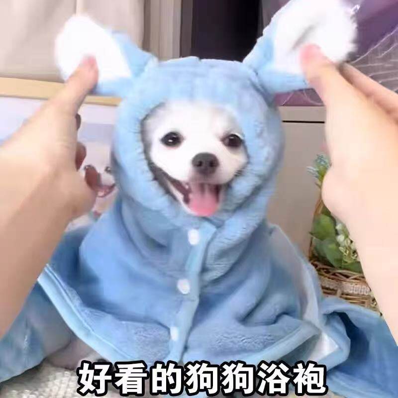博美专用速干吸水浴袍毛巾