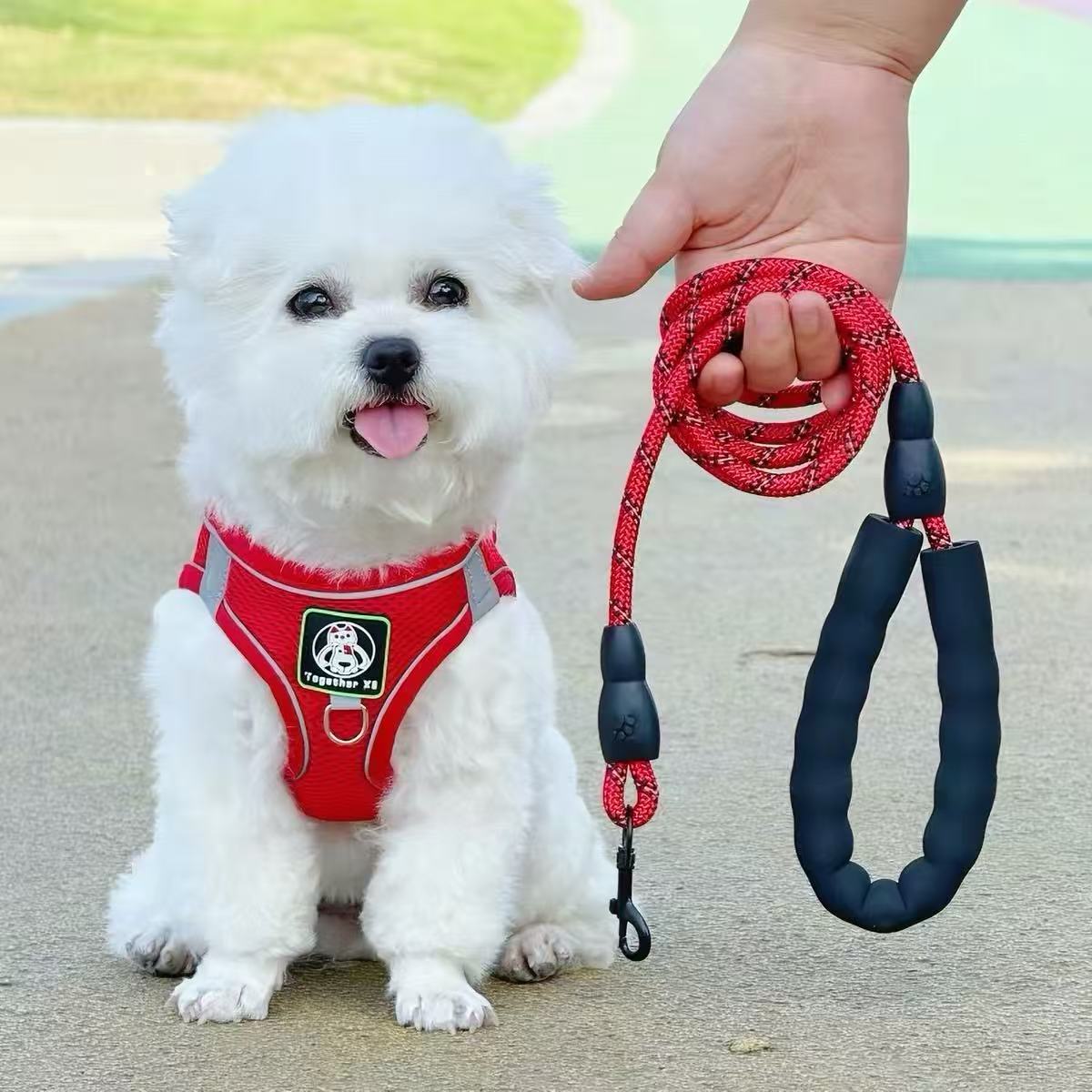 狗狗专用背心式胸背牵引带幼犬犬