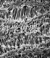 密理博millipore Fluoropore 表面滤膜FGLP04700 PTFE0.22μm 47m