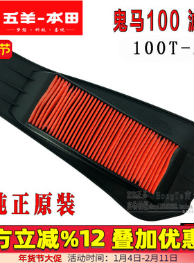 五羊本田鬼马滤芯 WH100T-2-2A 空气滤芯 空气格滤清器 空滤 原装