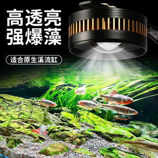 鱼缸灯全光谱谱水草专用灯led爆藻增艳灯原生溪流筒灯龙门灯