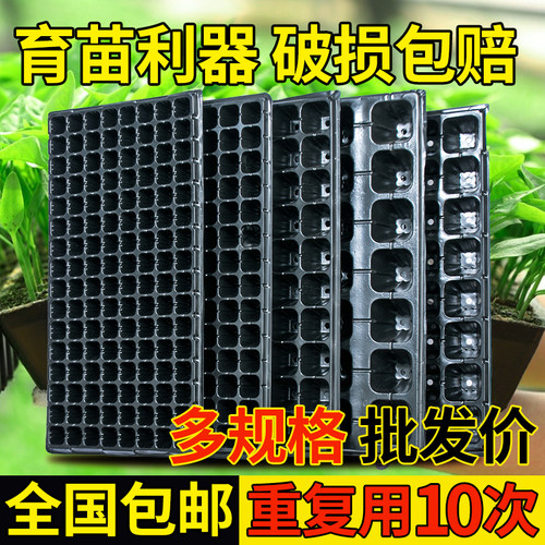 淇航育苗穴盘蔬菜西瓜种植盘