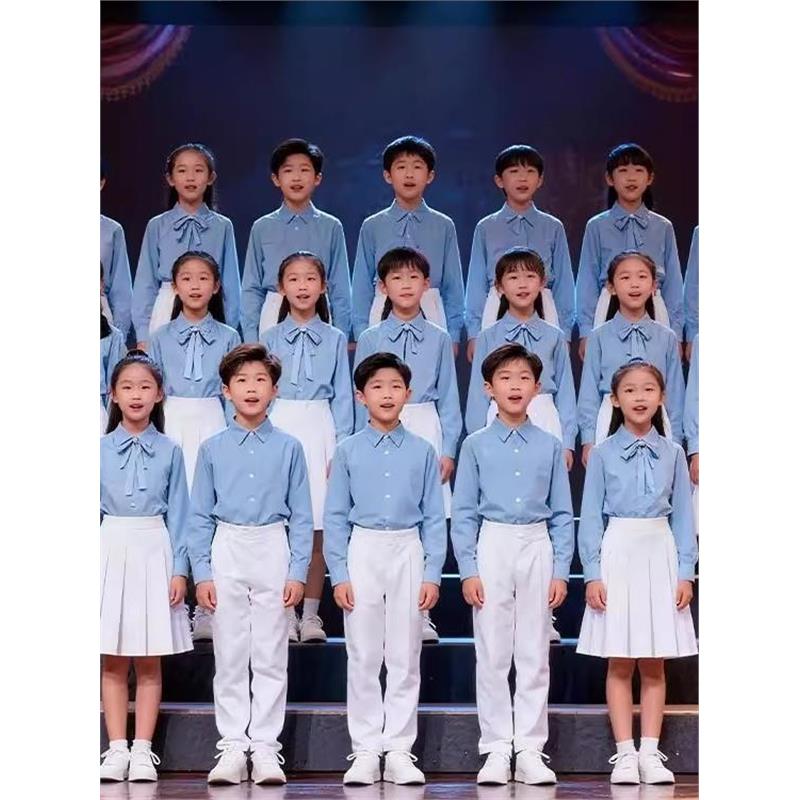 初高中学生爱国大合唱团朗诵演出服成人蓝色青春活力演讲服装班服图片