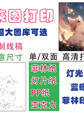 代打印菲林胶片PP纸单双面灯光画替换画芯蓝晒反转片灯箱片流麻