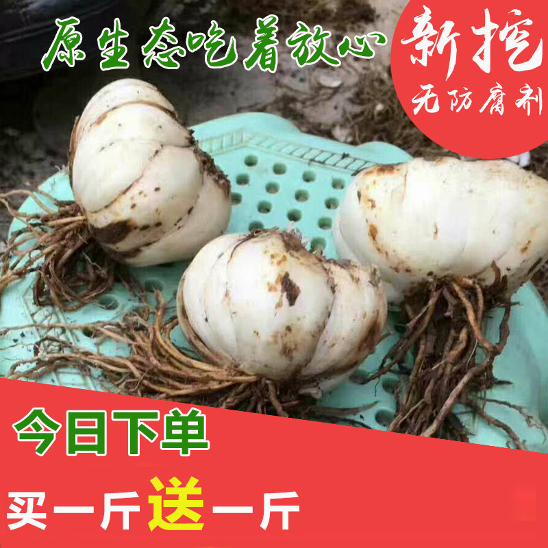 甘肃兰州百合新挖新鲜特级500g