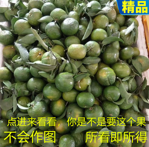 正宗广西桂林清香蜜桔5斤新鲜水果茶桔大果纯甜青皮橘现摘小桔子
