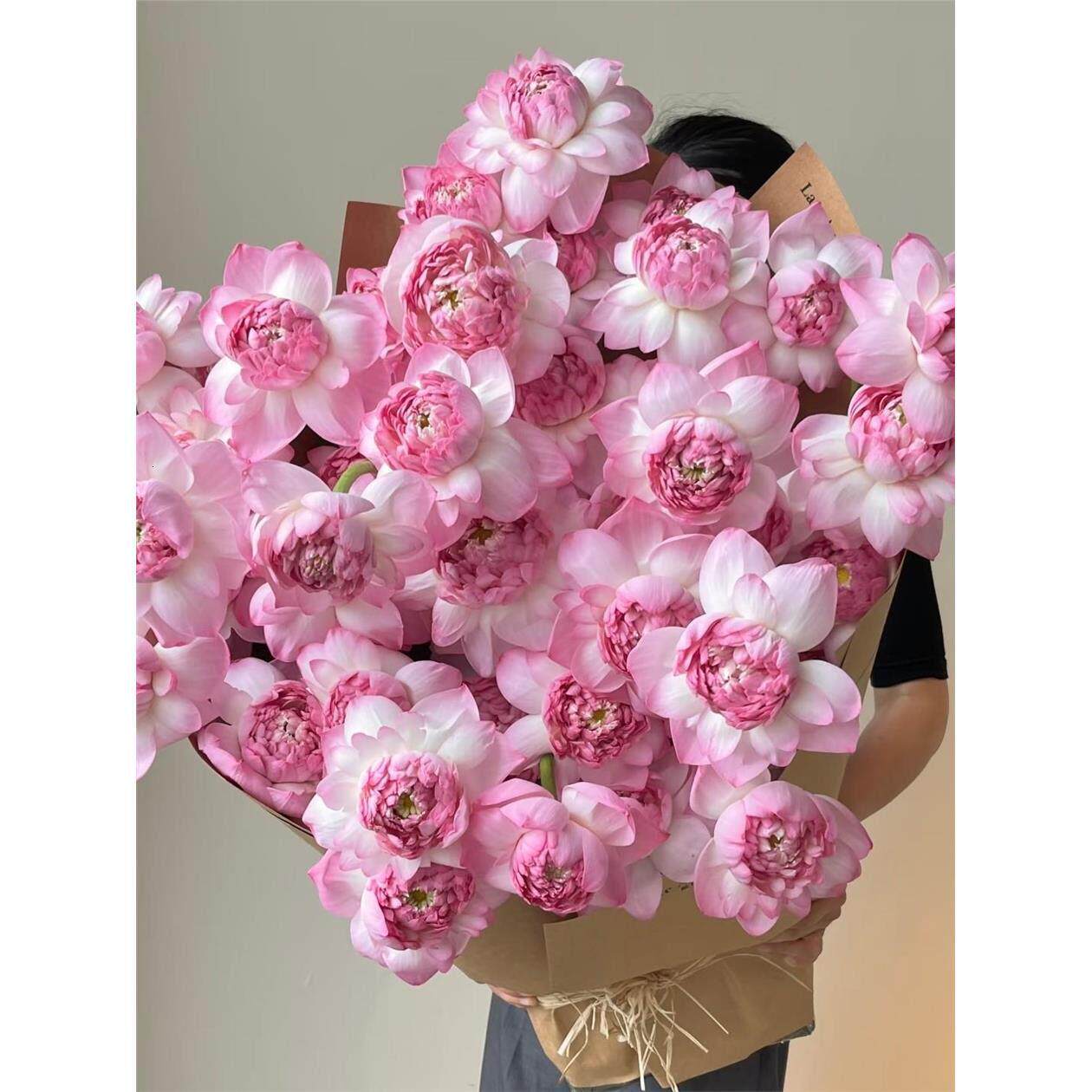 毕业季夏日荷花花束教师节北京鲜花同城速递苏州杭州南京合肥无锡