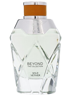 Bentley 宾利 狂野香根草异域麝香木质调高档男士香水