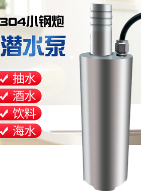 小能豆304小钢炮不锈钢潜水泵抽海水220V家用电饮料大流量高扬程