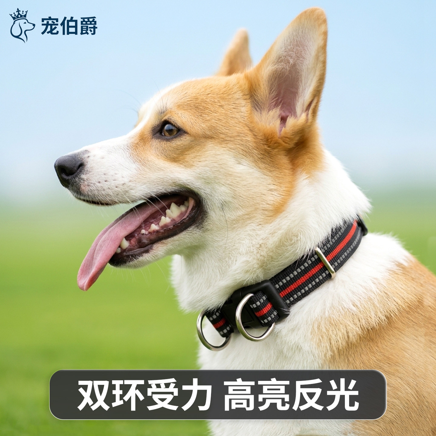 双D环狗项圈反光狗脖套中小型狗圈颈圈大狗脖圈柴犬金毛狗牵引绳