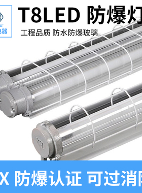 新黎民LED防爆灯荧光灯隔爆型单管双管车间厂房仓库灯罩灯管灰色