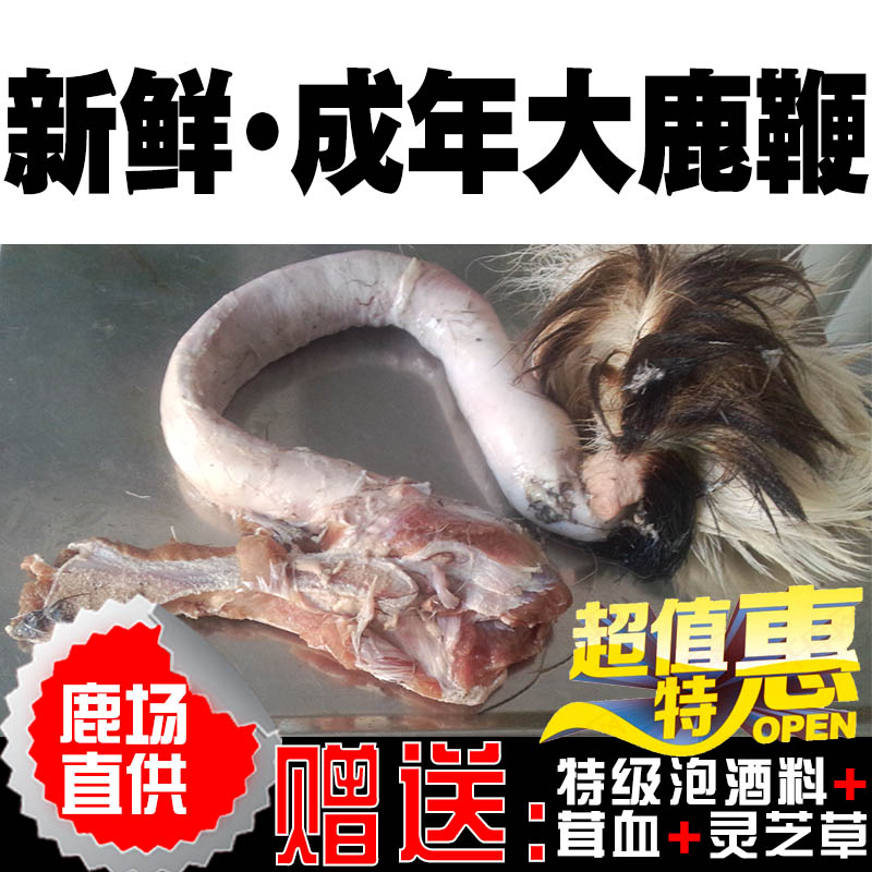 正宗鲜鹿鞭成年种鹿纯正鹿鞭整枝梅花鹿鞭正品男用鹿鞭膏泡酒料