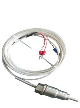 WRNK-102 WRNK-122K型探针铠装热电偶直插式防水防溅工业测温用