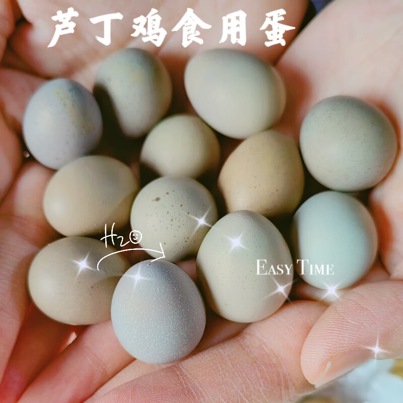 芦丁鸡蛋新鲜可食用蛋纯谷物喂养宝宝辅食鲜香味美农家迷你小鸡蛋