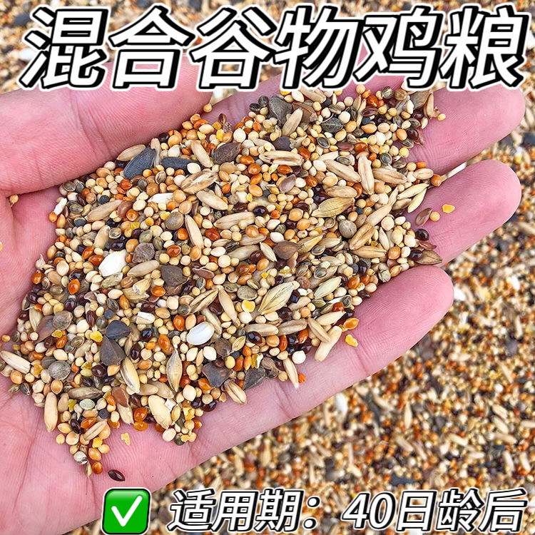 芦丁鸡食用蛋专用鸟粮成年期五色谷子黍子绿色食品健康营养5斤装