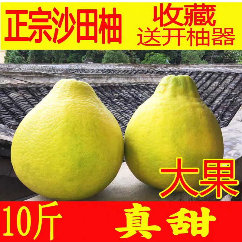 【50年老树】梅州沙田柚子正宗新鲜水果广东梅县客家特产非容县柚,水产肉类/新鲜蔬果/熟食,柚子,淘宝优惠券,粉丝福利购,淘宝优惠卷