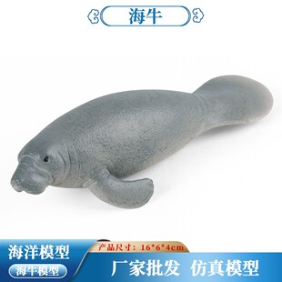 跨境儿童蒙氏教具仿真实心动物模型海牛海洋生物玩具场景摆件批发