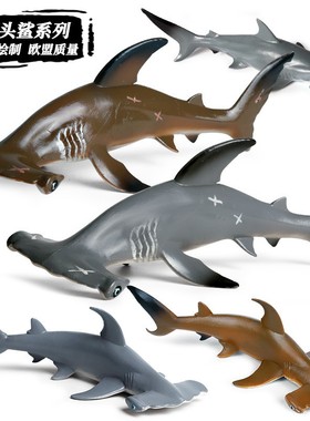 仿真海洋生物锤头鲨儿童实心塑胶玩具鲨鱼巨齿鲨海底动物模型摆件