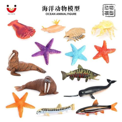 海洋动物模型摆件科教认知