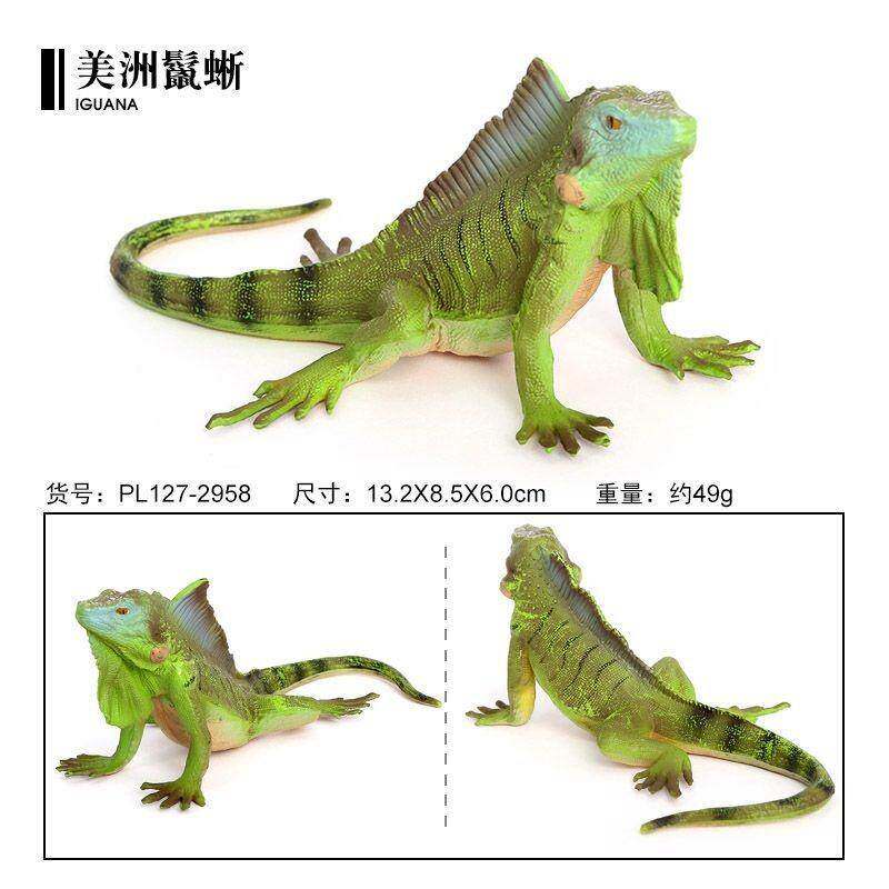 儿童认知玩具仿真野生爬行动物模型实心蜥蜴美洲鬣蜥科教摆件礼品