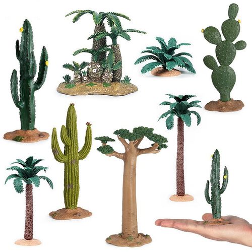 儿童认知仿真植物模型仙人掌
