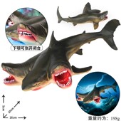 仿真实心变异三头鲨大白鲨海洋生物模型大鲨鱼巨齿鲨海底玩具摆件