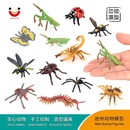 仿真昆虫模型蜘蛛蜻蜓螳螂蝴蝶蜈蚣迷你昆虫儿童认知动物玩具早教