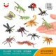 仿真昆虫模型蜘蛛蜻蜓螳螂蝴蝶蜈蚣迷你昆虫儿童认知动物玩具早教