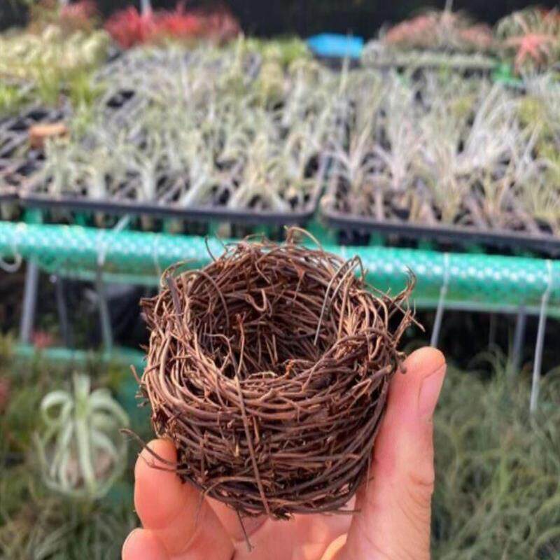鸟巢鸟窝各种规格手工制作店铺满20包邮空气凤梨支架底座