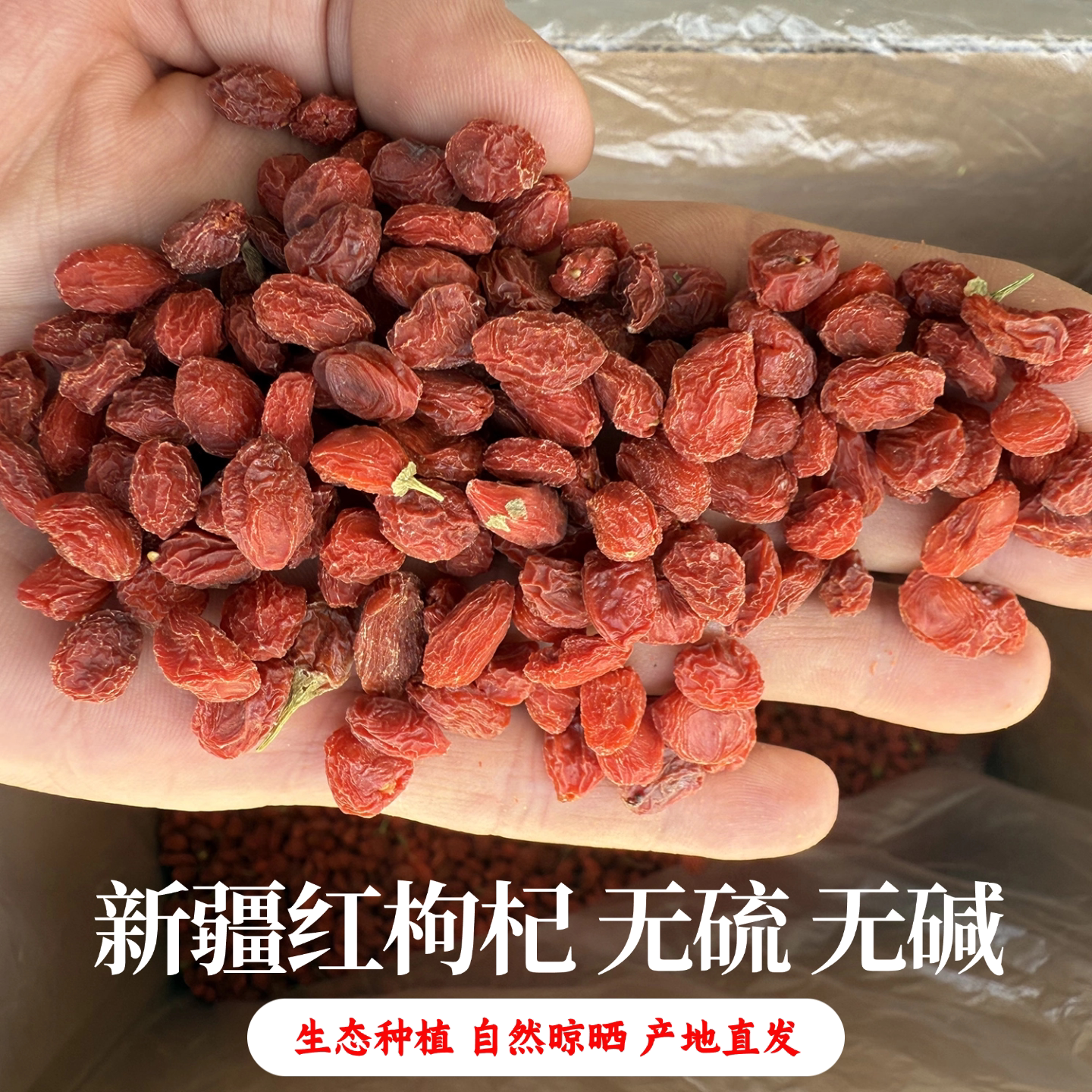 新疆红枸杞头茬大果自然晾晒无硫熏干吃泡水红枸杞泡酒药材