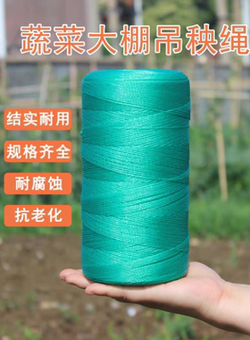 大棚吊秧绳西瓜黄瓜吊蔓绳塑料绳子拉绳西红柿爬藤网种植网农用