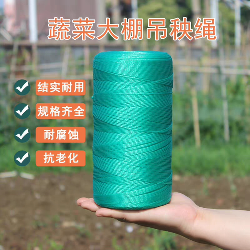 大棚吊秧绳西瓜黄瓜吊蔓绳塑料绳子拉绳西红柿爬藤网种植网农用