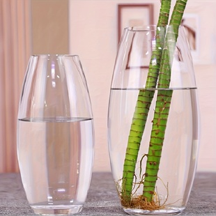 椭圆形玻璃花瓶水培植物花瓶人工吹制花瓶高白料玻璃家居装饰摆件