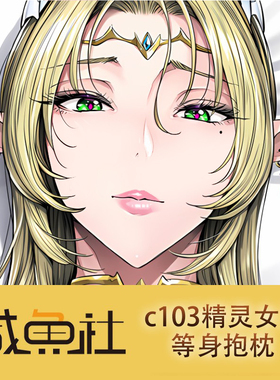 c103精灵女王飞燕二次元游戏周边日版 等身抱枕套动漫 来图定制