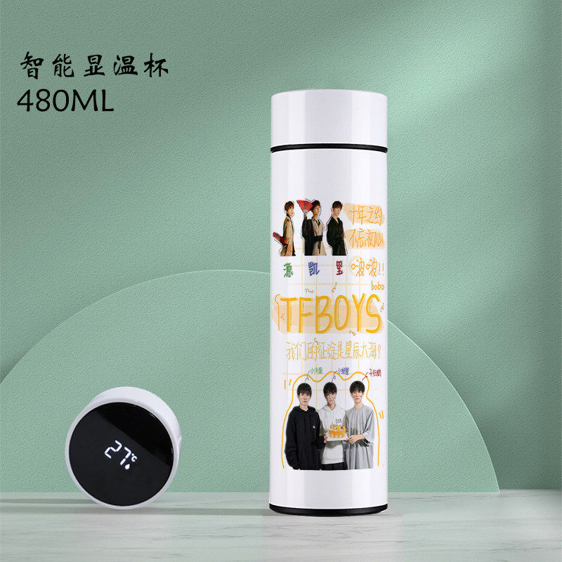 2026王俊凯保温杯TFboys