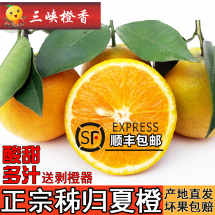 夏橙新鲜水果当季整箱鲜橙顺丰包邮湖北手剥橙秭归脐橙宜昌橙子