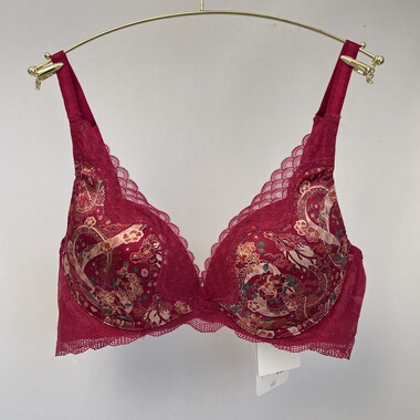 A4黛A芬联名龙女系列聚拢女无钢圈上薄下厚11-1954 no退换