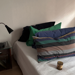 枕套1个装 深色全棉色织水洗棉48*74cm枕头套 学生宿舍枕皮